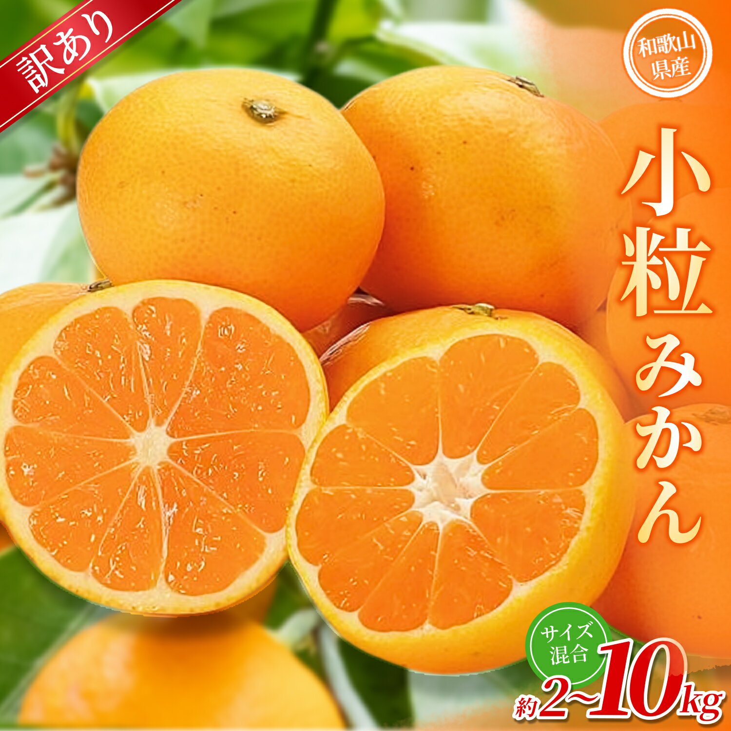 【ふるさと納税】【訳あり】 森本農園の手選別 小粒みかん 約2～10kg 和歌山県産 【北海道・沖縄・離島配送不可】【2025年11月上旬～2026年2月中旬ごろに順次発送】【BV-mrmt065-68】