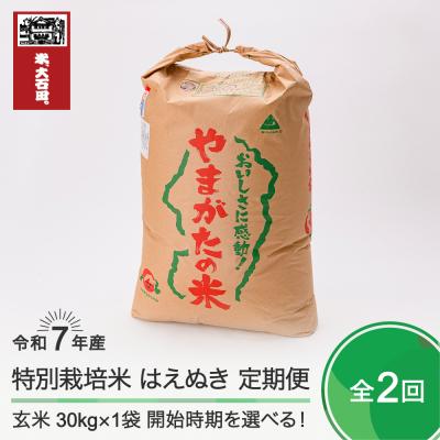 ふるさと納税 大石田町 新米 米 【玄米2回定期便 1月・4月発送】 はえぬき 30kg×2回 令和7年産  山形県