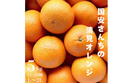 ＜まるで食べるジュース!越冬完熟品＞愛媛産 清見オレンジ 5kg＜D20-38＞【1594848】