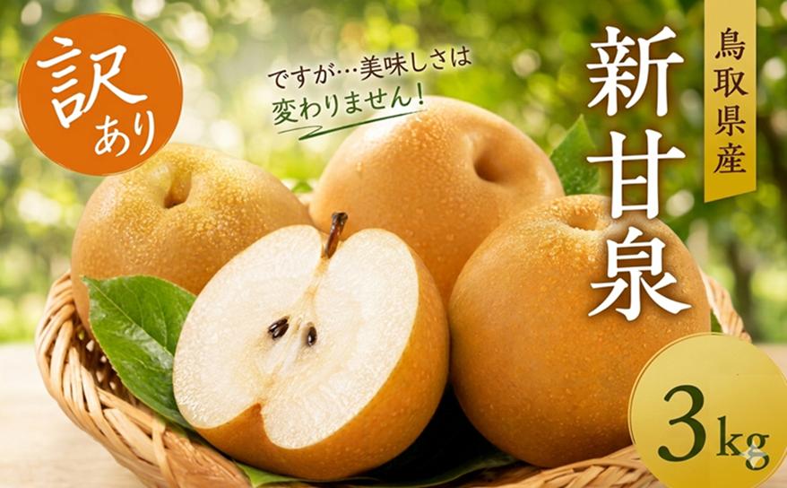 【訳あり】新甘泉 3kg【もぎたて 旬 フルーツ 果物 オリジナルブランド 新品種 赤梨 梨 シャキシャキ 新甘泉】