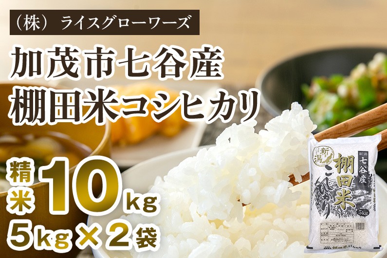 
                  【令和8年産新米先行予約】新潟県加茂市 七谷産 棚田米コシヒカリ 精米10kg（5kg×2）《10月上旬～順次出荷》 白米 （株）ライスグローワーズ
                