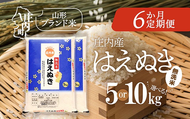 
                  【6か月定期便】庄内米 はえぬき 無洗米 選べる配送開始月 内容量 5kg / 6kg / 10kg 令和7年産 / 令和8年産 ブランド米 米 山形 庄内平野 コシヒカリの原点、亀の尾発祥の地 庄内 お米の定期便【毎月中旬発送】
                