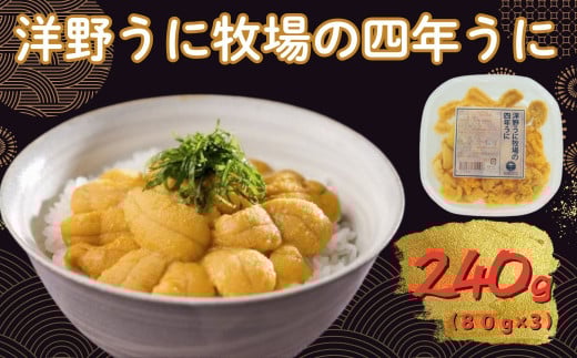 洋野うに牧場の四年うに 80ｇ×3パック ミョウバン不使用 無添加 北三陸 塩水うに 天然 生うに 雲丹 キタムラサキウニ