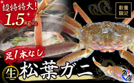 【魚倉】足１本なし生松葉ガニ（特特大1.5kg以上） 訳あり 松葉ガニ カニ ズワイガニ カニ爪 冷蔵 かにしゃぶ カニ刺身 ずわいがに 国産 わけあり 足欠け 足かけ 特大