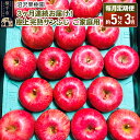 【ふるさと納税】《定期便3ヶ月》樹上完熟サンふじ ご家庭用 約5kg（13～23玉前後）×3回 計15kg 3か月 3ヵ月 3カ月 3ケ月