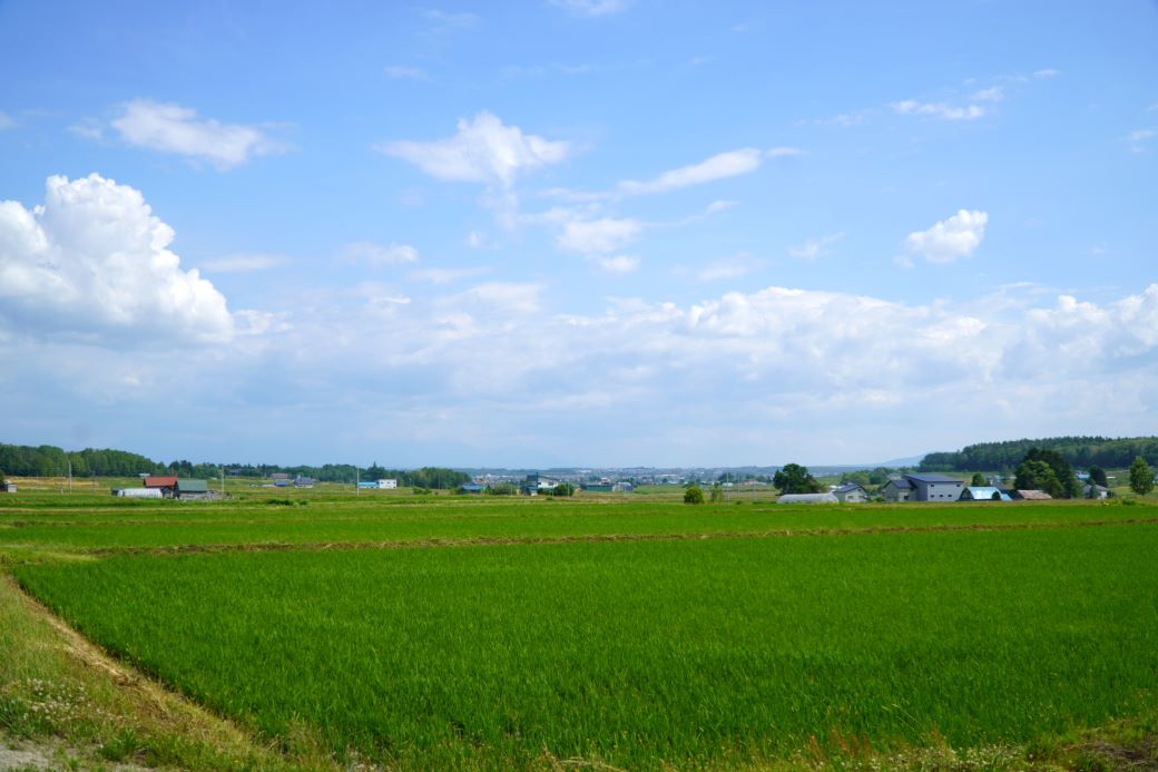 A262【令和６年産】ななつぼし（無洗米）特Aランク 5kg 北海道 鷹栖町 たかすのおむすび 米 コメ ご飯 無洗米 お米 ななつぼし