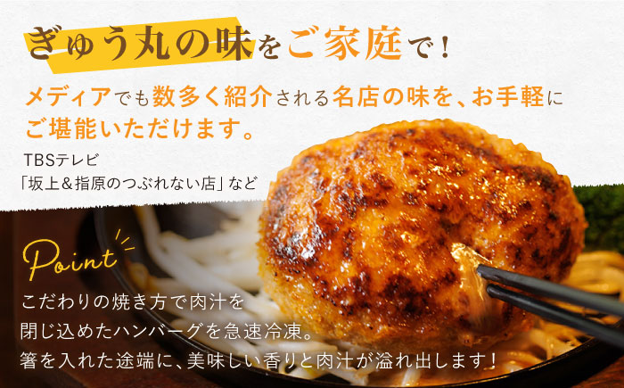 【12回定期便】〈メディア紹介多数〉ぎゅう丸のオニオンソースハンバーグ 総計48個セット【ぎゅう丸】 [NCQ115]