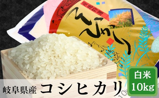 
                  ≪令和7年産≫＼選べる回数／岐阜 コシヒカリ 約10kg
                
