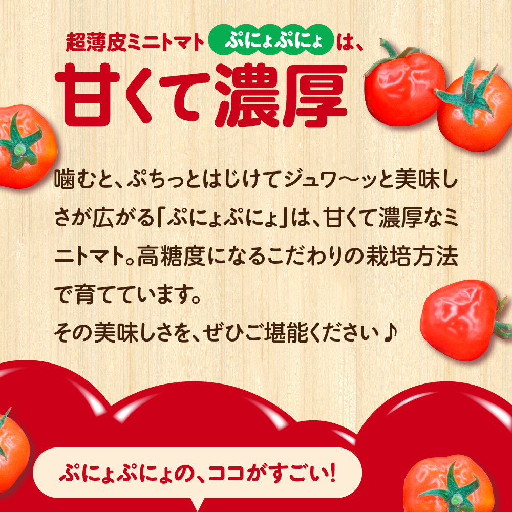 【2025年 先行受付】超薄皮 ミニトマト 約1.8kg 「ぷにょぷにょ」 青森 五所川原 トマト 野菜