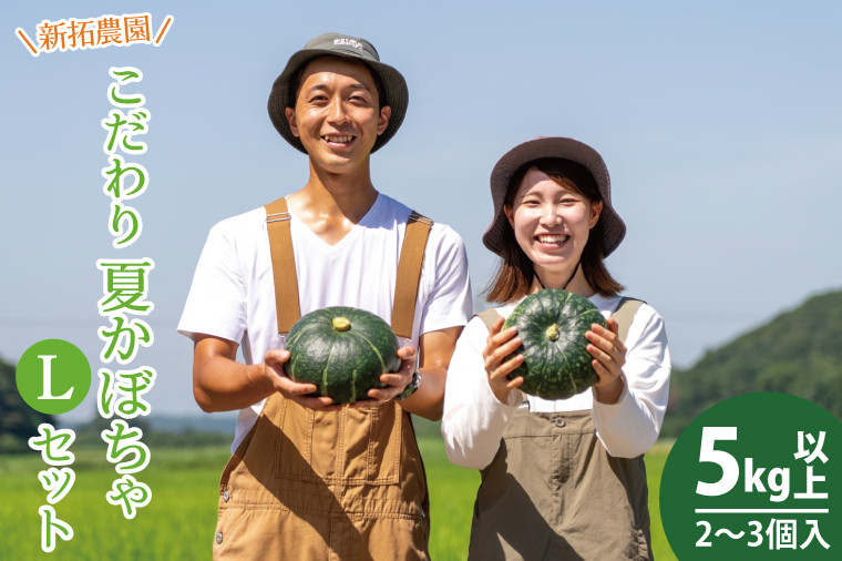 
                  かぼちゃ 5kg以上 Lサイズ 国産 カボチャ 野菜 夏かぼちゃ 南瓜 スープ パンプキン サラダ ポタージュ 美味しい 野菜 子供 栄養 新拓農園 茨城県 鹿嶋市 【7月下旬以降発送】
                