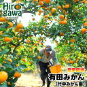 【ふるさと納税】 有田みかん 早生 3kg 5kg （サイズ混合） 7000円 10000円 12000円 ※11月～1月順次発送予定 / みかん 柑橘 果物 フルーツ くだもの 果実 //mandarin