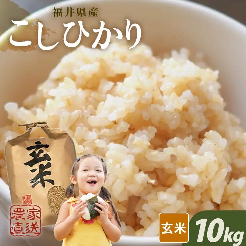 【先行予約】【令和8年産・新米】玄米10kg×1袋 福井県産 コシヒカリ10kg【2026年10月上旬以降順次発送】 [B-8918_02]