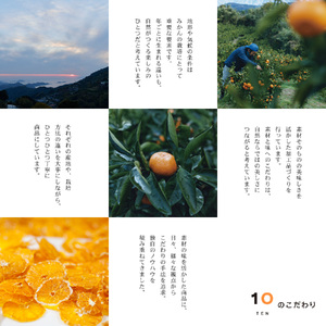 【ジュース3個とハンディゼリー2個】愛媛みかん 果汁100% ストレートジュースとゼリーのギフトセット 10 FACTORY |みかん 柑橘 手提げ袋付 オレンジ 国産 贈答 内祝い お返し お見舞い