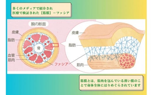 C089 【女性限定】上半身集中７０分/筋膜リリースマッサージ/筋膜リリース認定サロン