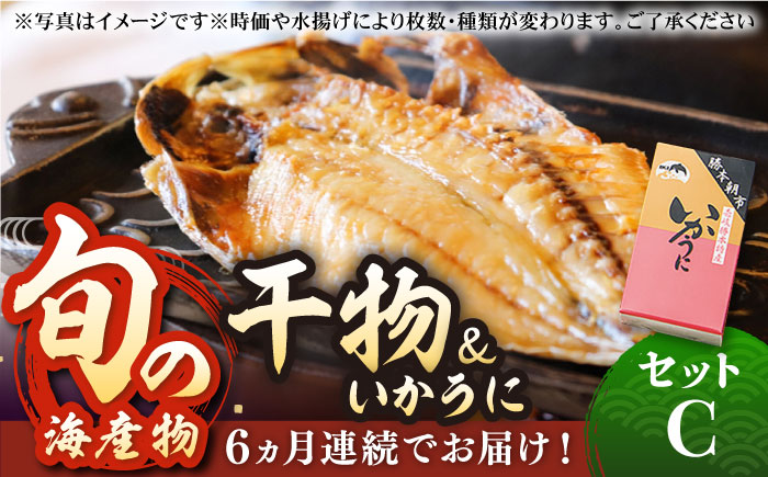 【全6回定期便】旬の海産物 干物詰め合わせ Cセット 《壱岐市》【マルミ海産物】[JCY013] 120000 120000円 12万円 干物 ひもの アジ イワシ イカ みりん干し タイ