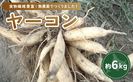 ヤーコン 6kg 【 ふるさと納税 人気 おすすめ ランキング 野菜 ヤーコン 無農薬 北海道 置戸町 送料無料 】 OTE002