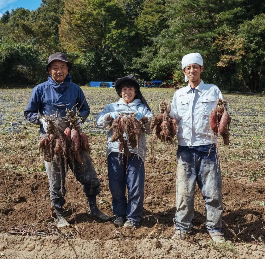 【 先行予約 】 さつまいも 2.5kg ひめあやか 徳島県 三好市