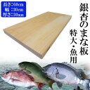 【ふるさと納税】銀杏のまな板 特大サイズ 魚用 1枚 | 長さ60cm 幅30cm 厚さ30mm 無料オーダー加工サービスあり まないた 木製 日本製 国産 キッチン 料理 包丁 一枚板 新生活 島根県 出雲市