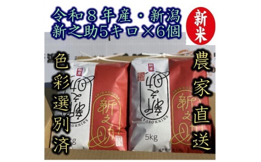 【令和8年産新米】 新潟県産「新之助」 白米 30kg（5kg×6袋） 阿賀野市産 中島農場 精米 新潟県 米 こめ コメ お米 ごはん ご飯 農家直送 色彩選別済 新米 新米予約 令和8年産 9月下旬より順次発送  3R11092