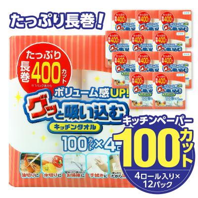 ふるさと納税 大分市 グッと吸い込むキッチンタオル100カット(4ロール×12パック)_R14030