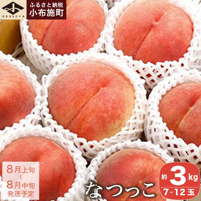 【ふるさと納税】 ＜先行予約＞ 白桃 なつっこ 約3kg 7～12玉 ［小布施屋］ 桃 もも モモ フルーツ 果物 長野県産 信州産 クール便 冷蔵便 令和7年産【2025年8月上旬〜中旬発送】