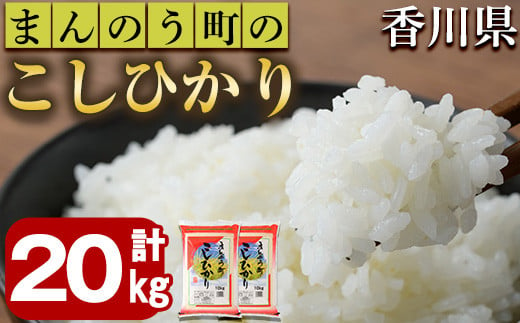 
＜令和5年産＞香川県まんのう町産 コシヒカリ(20kg) 【man030】【香川県食糧事業協同組合】
