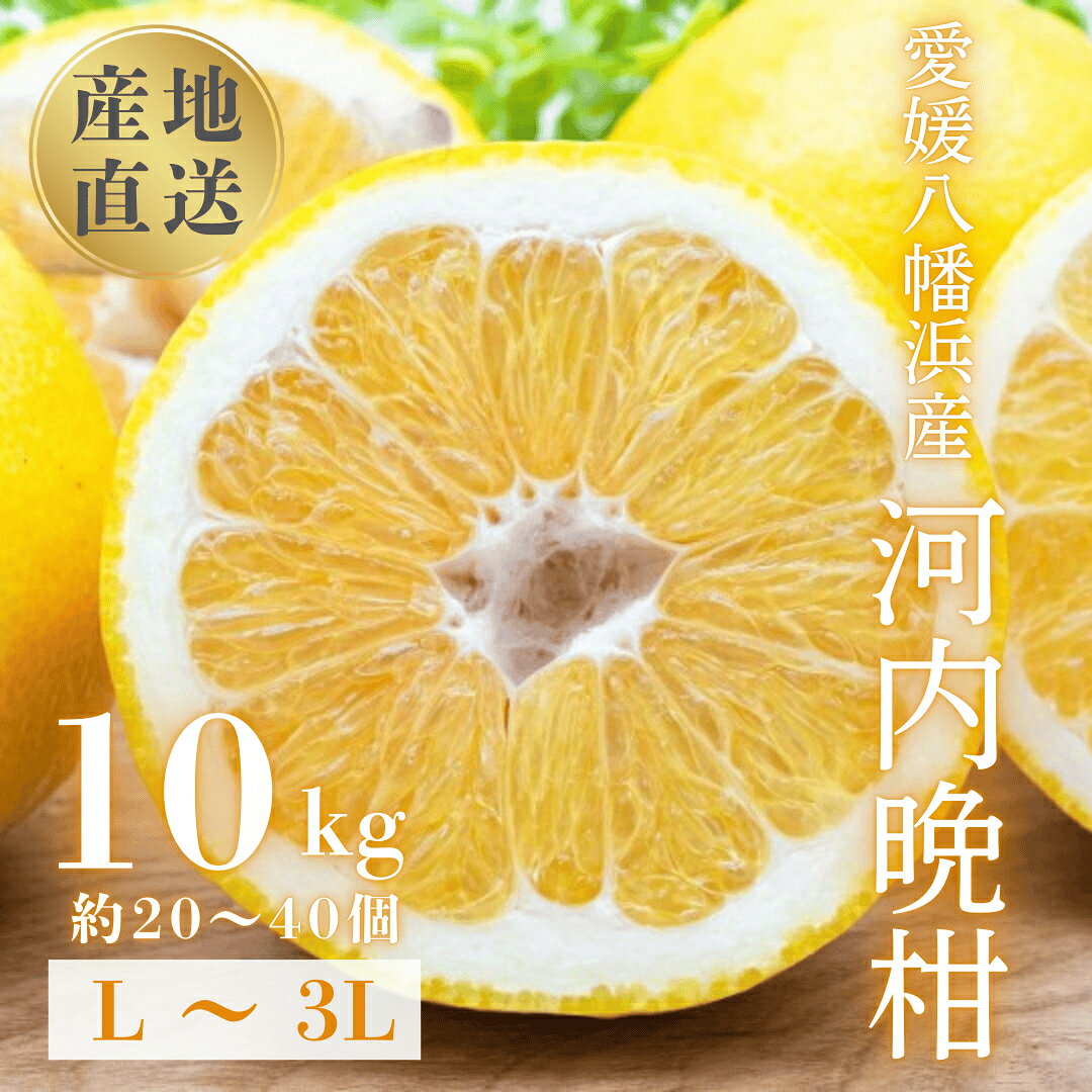 【ふるさと納税】【先行受付】《果汁たっぷりジューシー》産地直送 愛媛八幡浜産 河内晩柑10kg【G20-80】_【1621505】 YWTI075