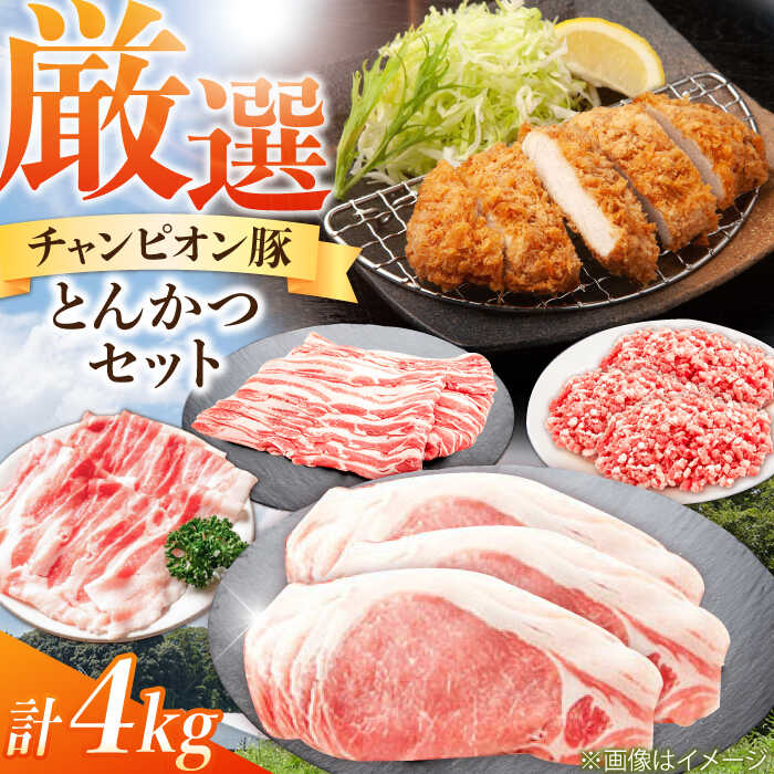 【ふるさと納税】豚肉 とんかつ 4kg セット / 三元豚 国産豚肉 肉 ぶた肉 ブタ肉 4キロ 冷蔵 カツ ロース モモ スライス バラ ミンチ 挽肉 ひき肉 / 亀山市 / 小林ファーム[AMAB015]