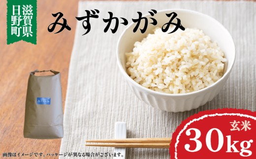 令和7年産 米 みずかがみ 玄米 30㎏ ( 1袋 ) 近江米 滋賀県 日野町産 おこめ 2025年産 米 環境こだわり米 ギフト 贈り物 お米