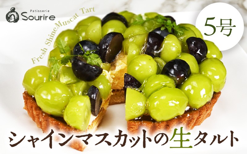 
            【先行予約】【数量限定】サクサク食感 シャインマスカットのフレッシュタルトケーキ 5号：直径15cm (4〜5人前) 850g 【選べる発送月】 【シャインマスカット マスカット ますかっと ケーキ マスカットケーキ ホール たると スイーツ デザート 果物 フルーツケーキ 洋菓子 贈答 ギフト】 [A-5207]
          