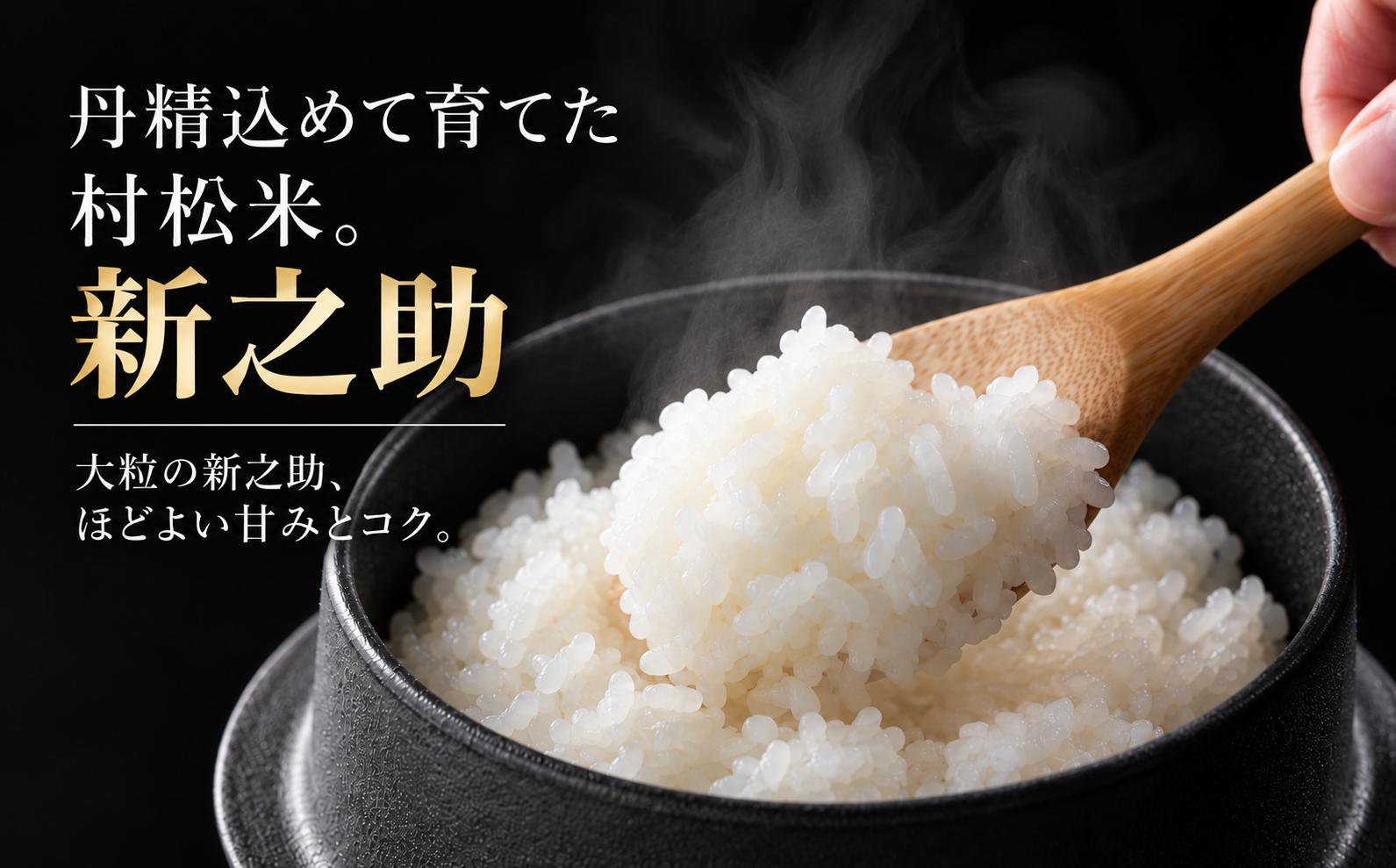丹精込めた村松米 新之助の大粒に、ほどよい甘みとコク