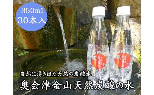 奥会津金山天然炭酸の水（350mlペットボトル）30本