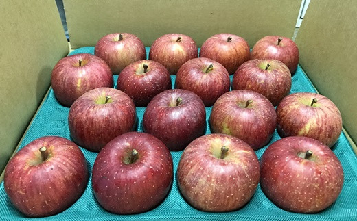 ≪予約受付≫りんごの王様サンふじ（16〜20玉）5kg箱入＜訳あり＞ 【541】