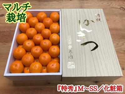 定期便 有田みかん 食べくらべ 3種 化粧箱 各約 3kg 南泰園 全3回 2024年 10月 発送開始