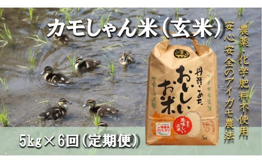 【令和7年度産】コシヒカリ（玄米）カモしゃん米 5kg 【 定期便 6回 アイガモ あいがも 合鴨 かも カモ コシヒカリ お米 農家直送 無農薬 化学肥料不使用 玄米 精米 選択可能 安心 安全 新米 令和7年度産 島根県飯南町 D-155】