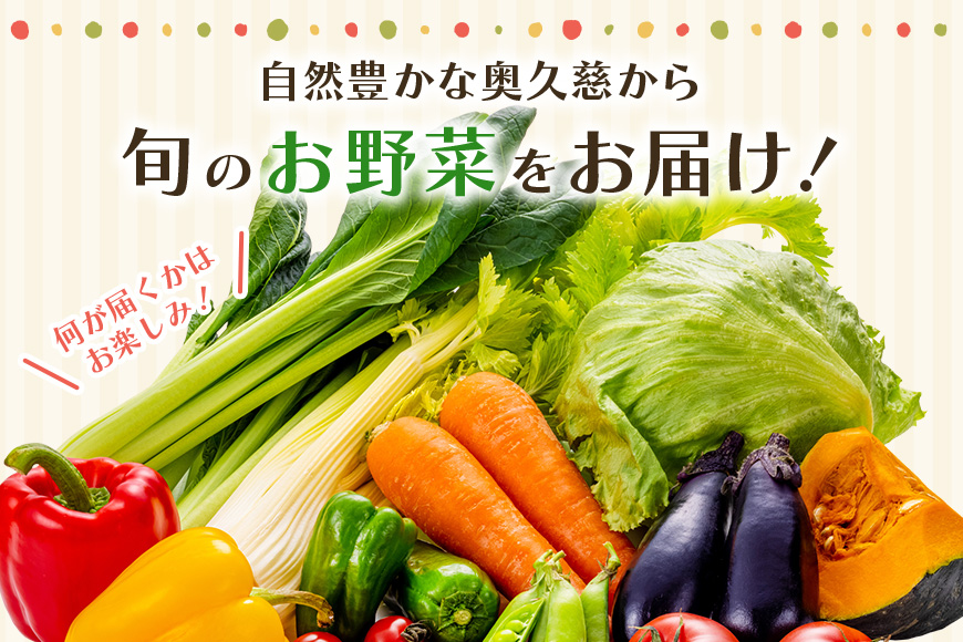 新鮮 奥久慈産 旬の野菜詰め合わせ 季節 セット 茨城県 特産 野菜セット 詰め合わせ 国産 旬 お試し おまかせ お楽しみ 野菜 採れたて 美味しい 直送
