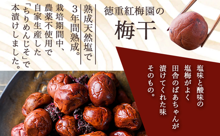 徳重おばあちゃんがつくった昔ながらの3年熟成梅干600g_MJ-4901_(都城市) あったかいご飯やお茶漬け・お料理の調味料に 鶯宿梅(おうしゅくばい) 梅ぼし 伝統農法 肉厚 徳重紅梅園