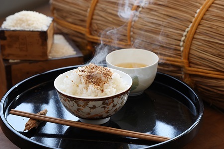 京丹波きぬひかり 10kg 令和5年産 京都 米 精米 キヌヒカリ ※北海道・沖縄・その他離島は配送不可 [018MB001]
