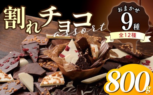 
                  割れチョコアソート　おまかせ9種　800g _ 訳あり 割れチョコ おまかせ 9種 アソート チョコレート スイーツ おやつ ビター ホワイト ミルク アーモンド クランチ クランベリー チャック付き お取り寄せ 福岡県 久留米市 送料無料  _ Dw134
                