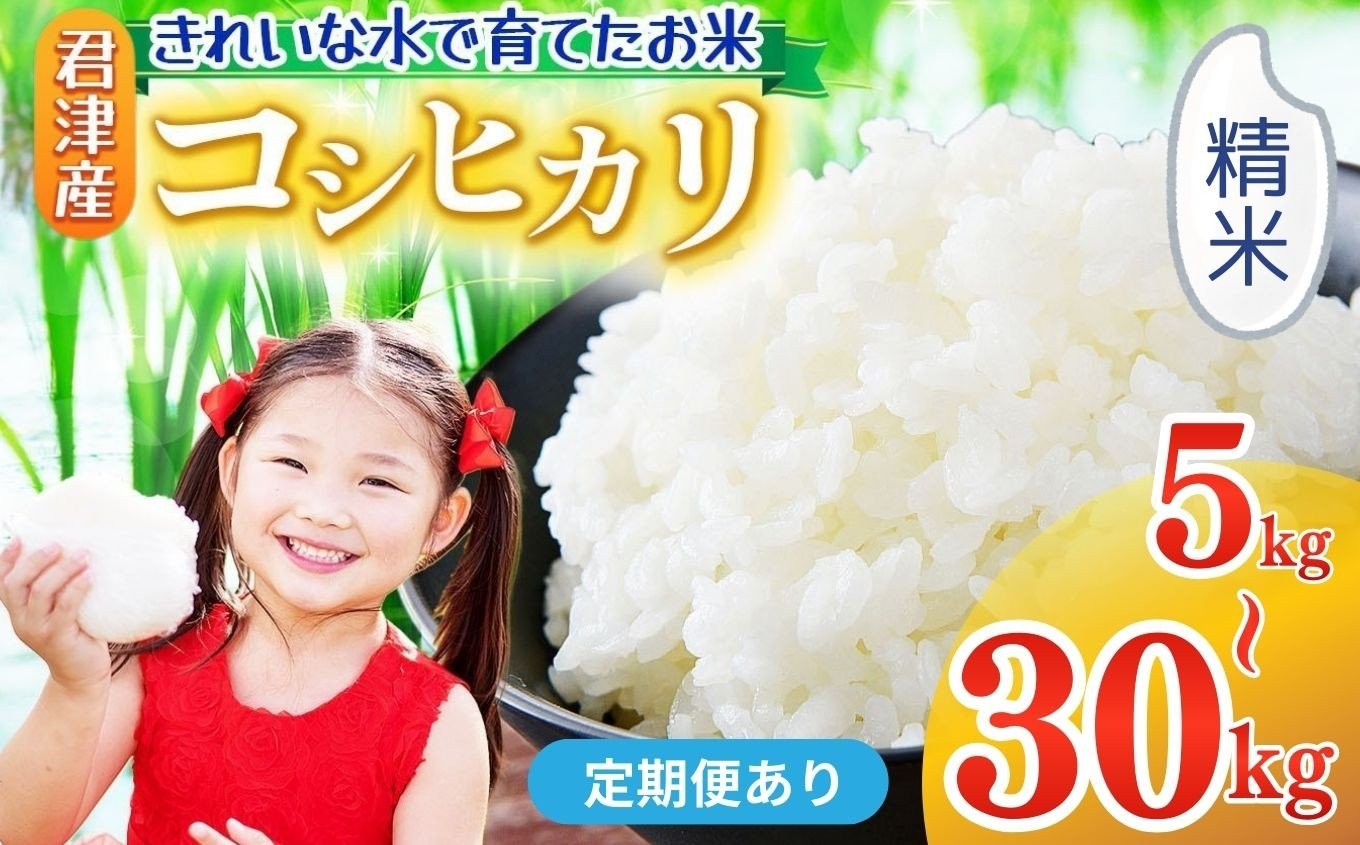 
                  【 定期便 あり】精米 令和7年産 コシヒカリ 5kg ～ 30kg きれいな水で育てたお米 2週間以内の発送| 保坂農場 名水 こめ 白米 こしひかり ちばエコ農産物 おにぎり お弁当 君津市産 イチオシ 千葉 君津市 きみつ 房総
                
