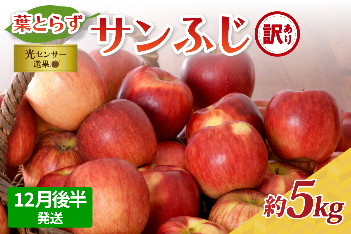 【2025年12月後半発送】【訳あり】青森県産 葉とらず サンふじ りんご 約5kg