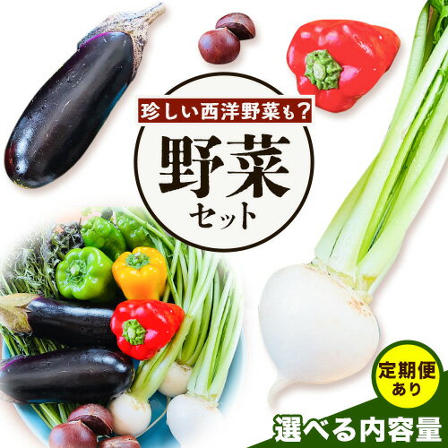 【ふるさと納税】野菜 農家直送 新鮮 野菜 セット 選べる 容量 6~13品 《60日以内に出荷予定(土日祝除く)》 森田農園 単発 定期便 あり 青果物 やさい 千葉県 流山市