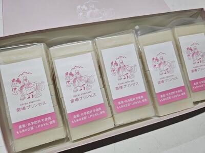 杵つき餅 白餅5パックセット 有機jaＳ認証米 |津南町 もちセット