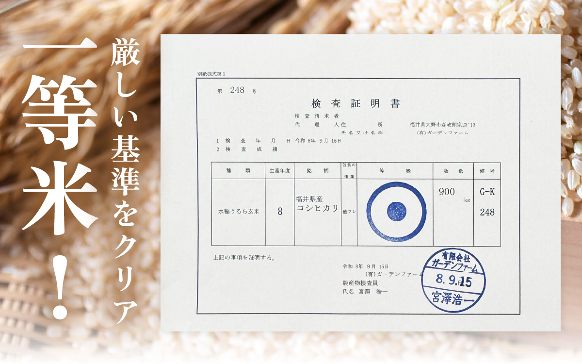 【先行予約】【令和8年産 新米】【3ヶ月定期便】一等米 越前大野産 エコファーマー認定農家栽培こしひかり 玄米 10kg × 3回 計30kg【2026年10月より順次発送】