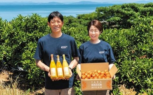 OC8x1 中尾農園の夢みるみかんジュース贅沢３種３本セット［みかん・はるか・クレメンティン］