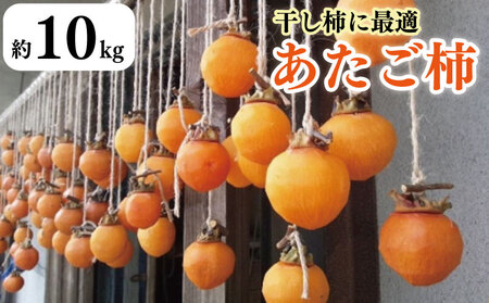 柿 かき あたご柿 10kg 2025年11月上旬～発送予定 干し柿 渋柿 柿 柿 柿 柿 柿 柿 