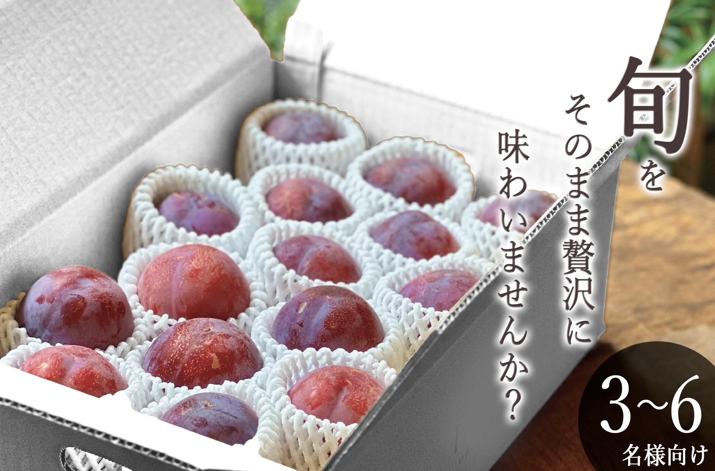 
            ＜2026年発送先行予約＞南アルプス市産 貴陽 約3kg（11～14個入り） ALPAL014
          