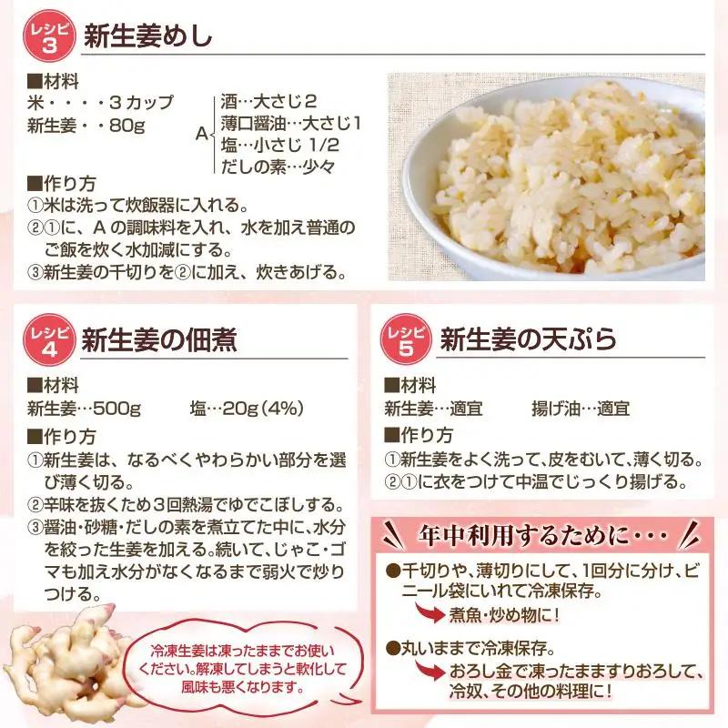 フレッシュ新しょうが８kg詰め 和歌山県産 新生姜 新鮮 産地直送 自家製 甘酢漬け、紅ショウガ、生姜湯、砂糖漬けに【クール冷蔵便】紀伊国屋文左衛門本舗