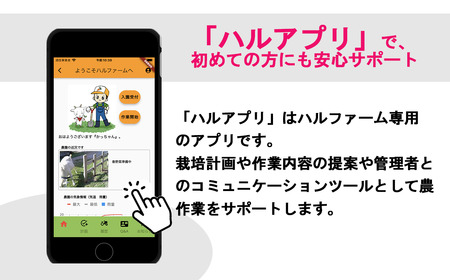 【専用スマホアプリがサポート！】ハルファームの市民農園利用券　(5㎡ 1年分) 【 茨城県 つくば市 農園 貸農園 貸し農園 農業体験 農業 野菜収穫 体験 野菜体験 チケット 旬野菜 採れたて野菜 
