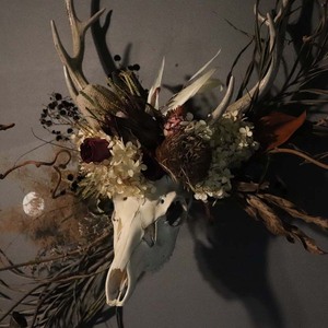 花鹿 ―ROKU― 鹿 角 オブジェ 飾り ドライフラワー インテリア シカ 鹿角 装飾 F4F-3316